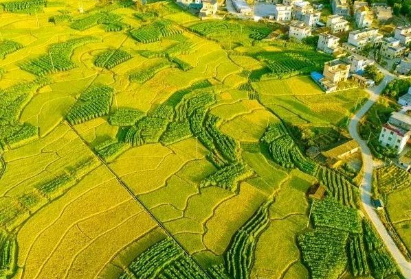 農(nóng)村污水處理：不同省份如何因地制宜？