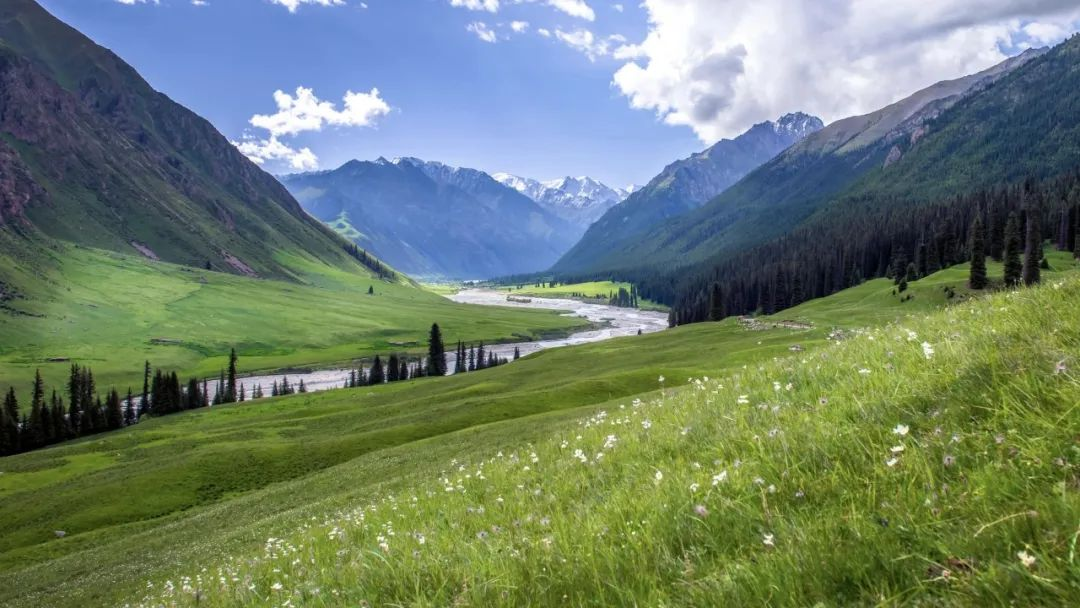 農(nóng)村污水治理：破解難題，共建美麗鄉(xiāng)村