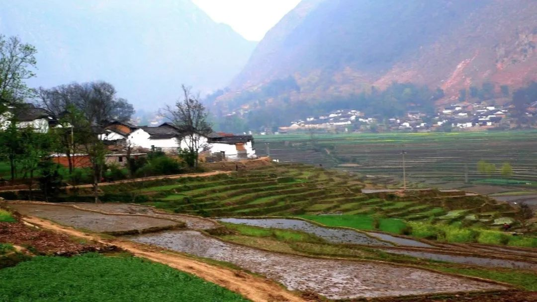 濟(jì)寧：農(nóng)村污水治理全域統(tǒng)籌，提升治理水平