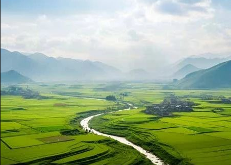 《農(nóng)村黑臭水體治理工作指南》來了！