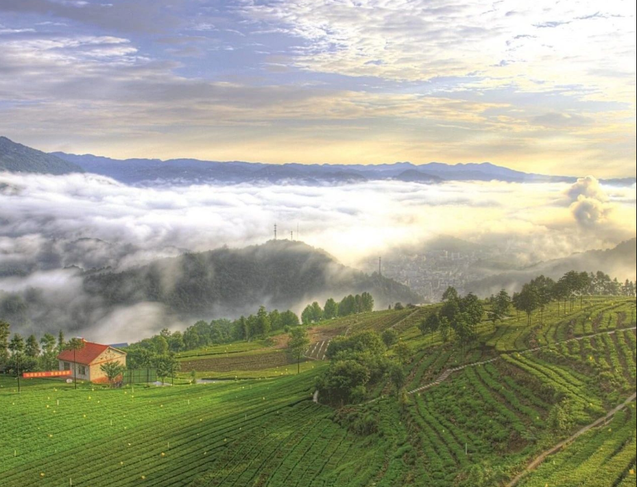 農(nóng)村生活污水治理率達到46.58%，湖北省印發(fā)2024年全省生態(tài)環(huán)境工作要點