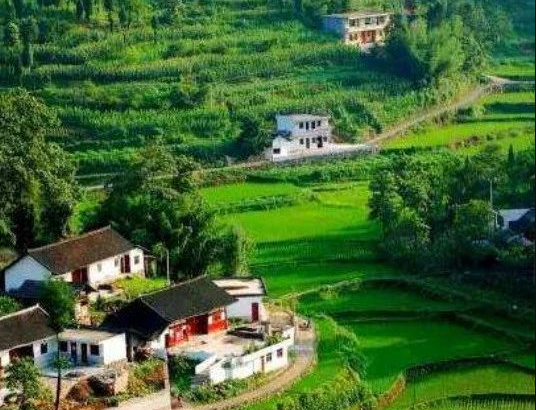 農(nóng)業(yè)農(nóng)村部辦公廳、財(cái)政部辦公廳關(guān)于做好2024年農(nóng)業(yè)產(chǎn)業(yè)融合發(fā)展項(xiàng)目申報(bào)通知