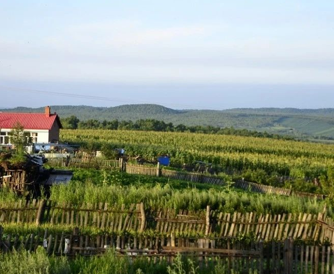 黑龍江省2024年農(nóng)村生活污水、黑臭水體治理工作方案