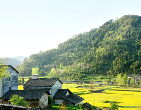 浙江省企業(yè)生態(tài)環(huán)境合規(guī)管理指引（2024版）（文字版）