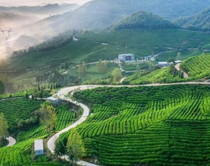 《山西開展農(nóng)村黑臭水體治理辦實(shí)辦細(xì)辦牢民生實(shí)事工作方案》！