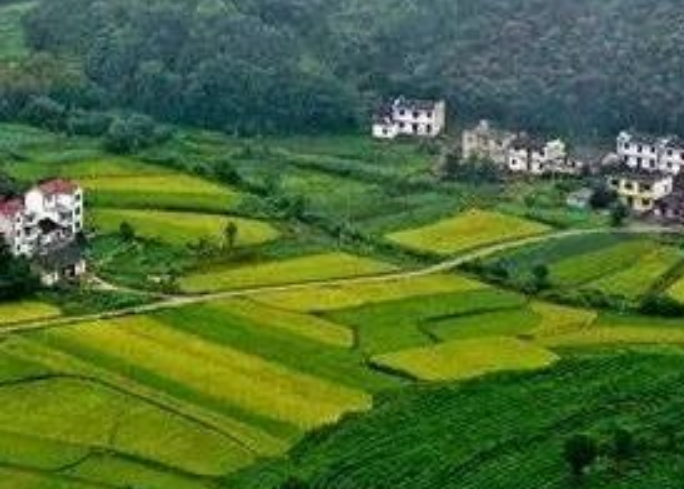 年安排3億元！福建加快推進農(nóng)村生活污水提升治理！