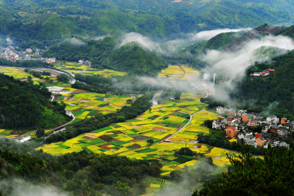 浙江明確：給予這些農(nóng)業(yè)項目補貼（助）