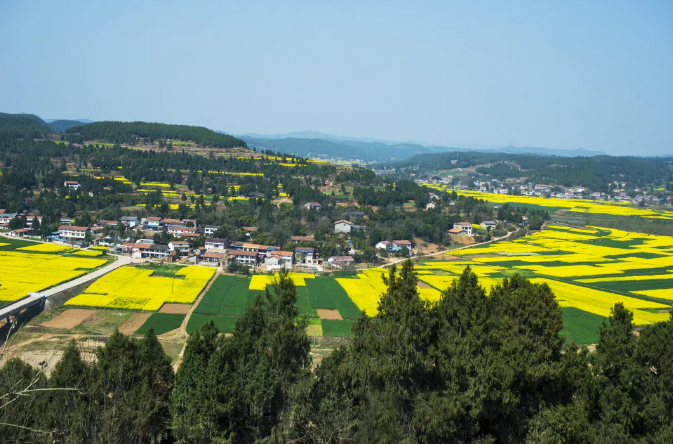 深度研究！探索產(chǎn)業(yè)融合發(fā)展的農(nóng)業(yè)現(xiàn)代化道路