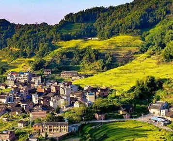 14.15億元！福建下達(dá)鄉(xiāng)村振興示范補助資金