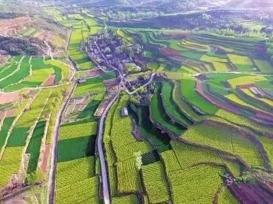 關于“生態(tài)修復+產(chǎn)業(yè)導入”的探索，推動生活、生態(tài)、生產(chǎn)空間整體提升