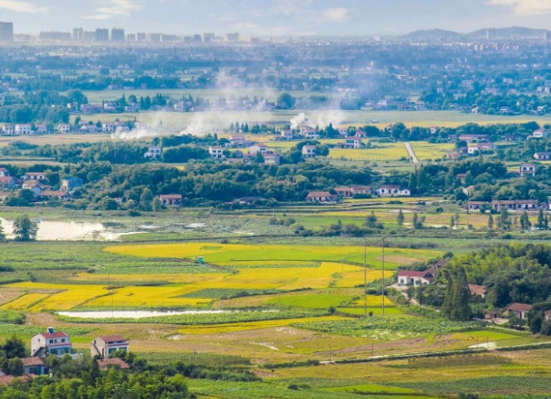 有效期5年！湖南通知要求推進城鎮(zhèn)生活污水處理質效提升行動！
