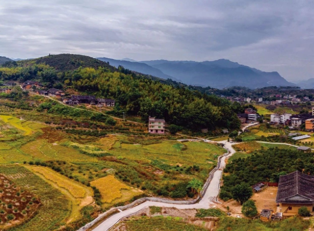 《決定》發(fā)布，與“三農(nóng)”相關(guān)的9個(gè)關(guān)鍵詞