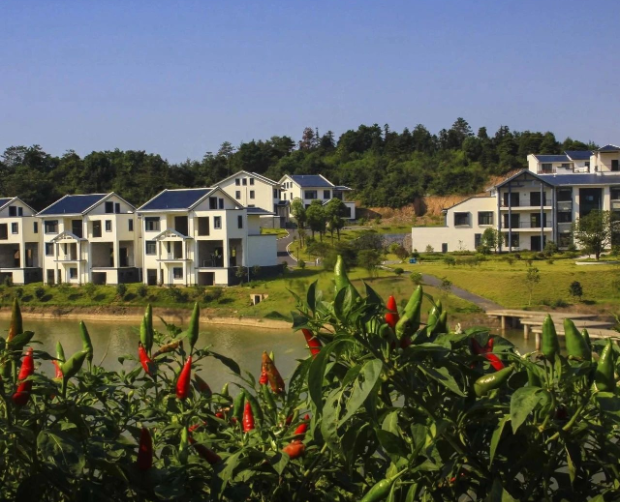 《上海市推動(dòng)職能部門做好生態(tài)環(huán)境保護(hù)工作的實(shí)施意見(jiàn)》發(fā)布