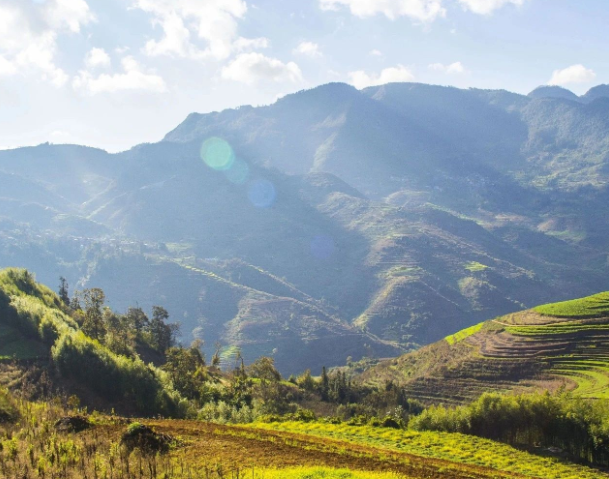 事關(guān)設(shè)施農(nóng)業(yè)投資項(xiàng)目獎(jiǎng)補(bǔ)，云南兩部門印發(fā)申報(bào)指南