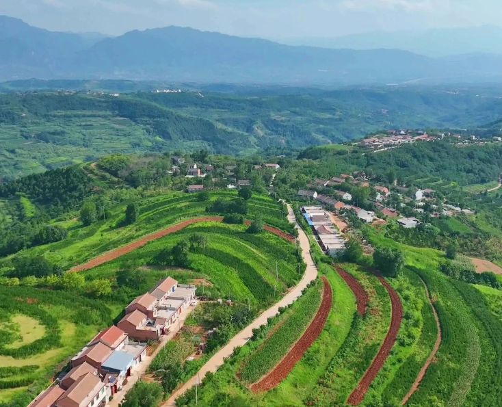 農(nóng)業(yè)農(nóng)村部：做好農(nóng)業(yè)農(nóng)村重大項(xiàng)目謀劃儲(chǔ)備深化融資對(duì)接服務(wù)