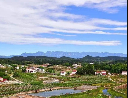 《山東省人民政府辦公廳 關(guān)于學(xué)習(xí)運(yùn)用“千萬工程”經(jīng)驗(yàn)深化農(nóng)村人居環(huán)境整治提升的實(shí)施意見》魯政辦字〔2024〕112號