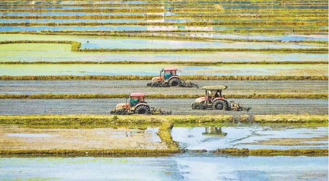 【深度研究】以農(nóng)業(yè)領(lǐng)域新質(zhì)生產(chǎn)力賦能鄉(xiāng)村振興