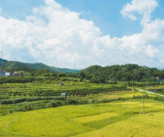 農(nóng)業(yè)農(nóng)村部答復(fù)關(guān)于大力促進(jìn)現(xiàn)代農(nóng)業(yè)經(jīng)營主體健康發(fā)展的提案