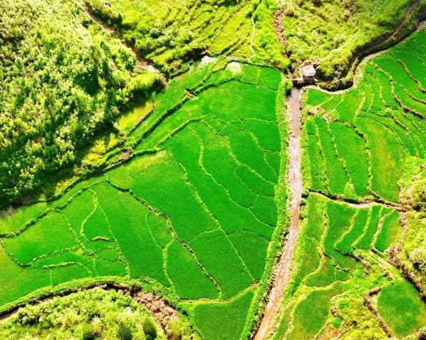 中共中央辦公廳　國(guó)務(wù)院辦公廳關(guān)于加強(qiáng)耕地保護(hù)提升耕地質(zhì)量完善占補(bǔ)平衡的意見（全文）