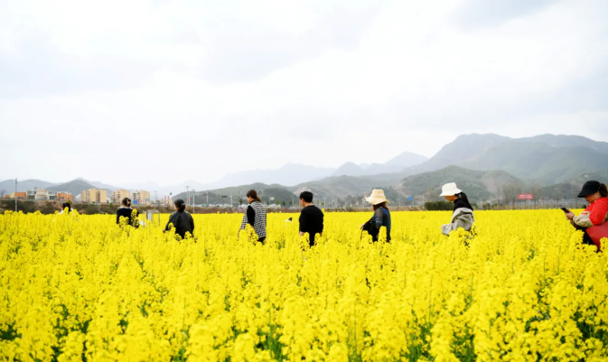 【鄉(xiāng)村振興】2025年的鄉(xiāng)村振興農(nóng)旅融合的7大模式+30種類型