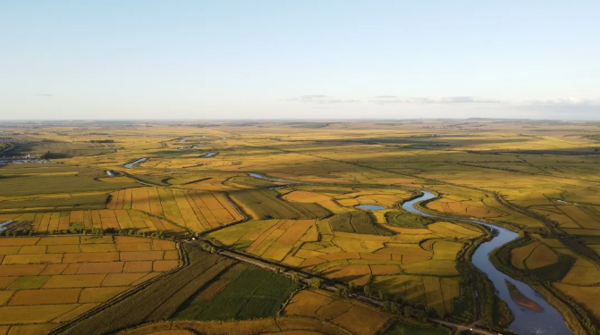 【政策解讀】國(guó)務(wù)院辦公廳：加快發(fā)展現(xiàn)代設(shè)施農(nóng)業(yè)，建設(shè)智慧農(nóng)場(chǎng)（牧場(chǎng)、漁場(chǎng)）