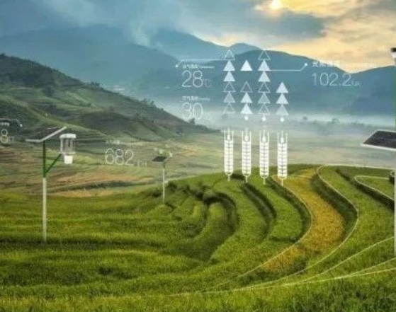 農業(yè)農村部印發(fā)《關于大力發(fā)展智慧農業(yè)的指導意見》