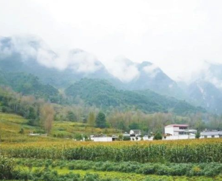 甘肅?。恨r村生活污水治理（管控）率達到29.47%以上