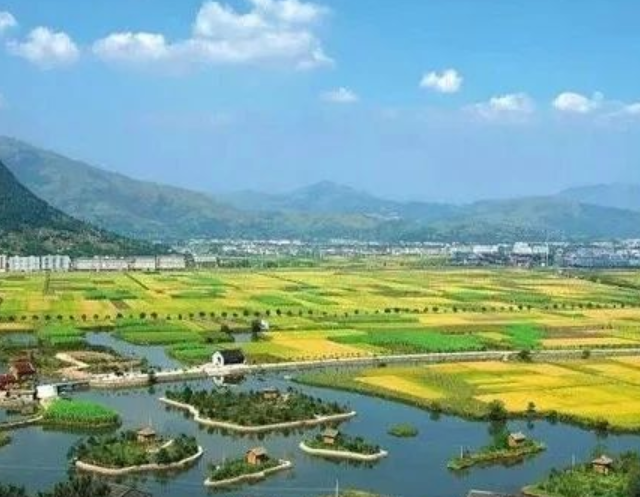 山東印發(fā)實施意見，大力發(fā)展現(xiàn)代設施農業(yè)