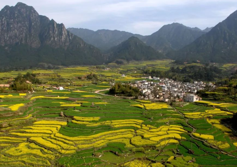 農(nóng)業(yè)農(nóng)村部有關(guān)負(fù)責(zé)人就落實(shí)《國(guó)務(wù)院辦公廳關(guān)于踐行大食物觀構(gòu)建多元化食物供給體系的意見(jiàn)》答記者問(wèn)