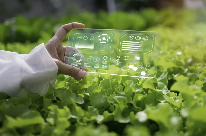 農(nóng)業(yè)農(nóng)村部：支持浙江省先行先試建設(shè)智慧農(nóng)業(yè)引領(lǐng)區(qū)