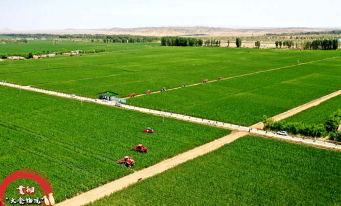 農(nóng)業(yè)農(nóng)村部：踐行大食物觀取得積極進(jìn)展