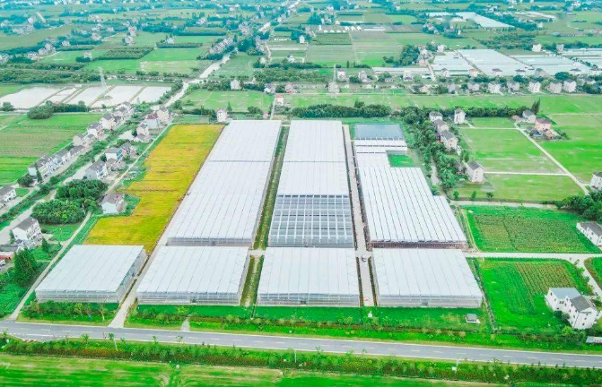 建設(shè)一批智慧漁場(chǎng)！農(nóng)業(yè)農(nóng)村部支持浙江省先行先試建設(shè)智慧農(nóng)業(yè)引領(lǐng)區(qū)