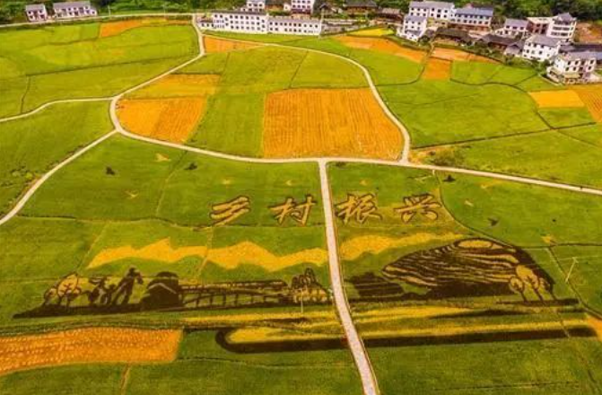 中央財(cái)政1770億助力鄉(xiāng)村振興，如何使用？怎么申請(qǐng)？