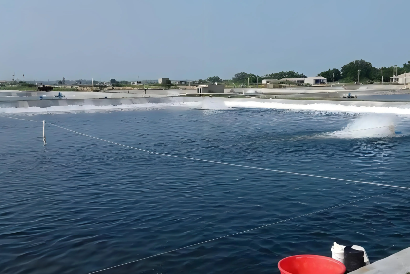 低溫天氣下，水產(chǎn)養(yǎng)殖如何穩(wěn)產(chǎn)保供？這份技術(shù)指引請收好！