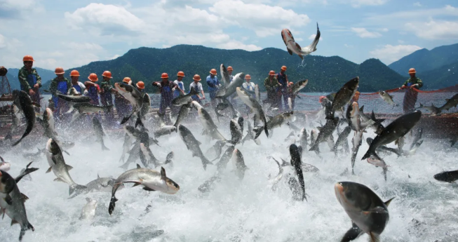 3月1日起，浙江這些區(qū)域全面禁漁！