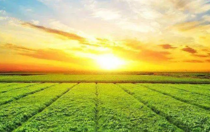 政策解讀！“十五五”農(nóng)業(yè)農(nóng)村領(lǐng)域研究重點(diǎn)及方向